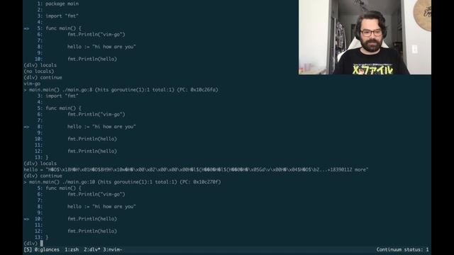 Delve: The Best Golang Debugger смотреть онлайн
