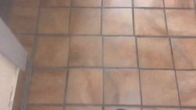 КОПЭ-М ПАРУС в Раменском. Лифты КМЗ 2014 года. V=1 м/с. Грузоподъёмность 400/630кг. (1) смотреть онлайн