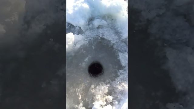 Окунь, клев как из пулемета. смотреть онлайн