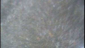 Что будет если смыть в унитаз GoPro hero 4