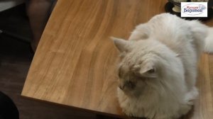 Подари мне платок! Трио "Взлёт". Валентина Морозова, Виктор Лукашов и Геннадий Аксенов!