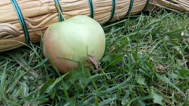 Я Знаю Пароль Я Вижу ОриЕнтир смотреть онлайн