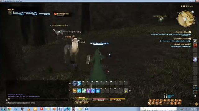 Final Fantasy XIV: A Realm Reborn Latency/Lag Issue смотреть онлайн