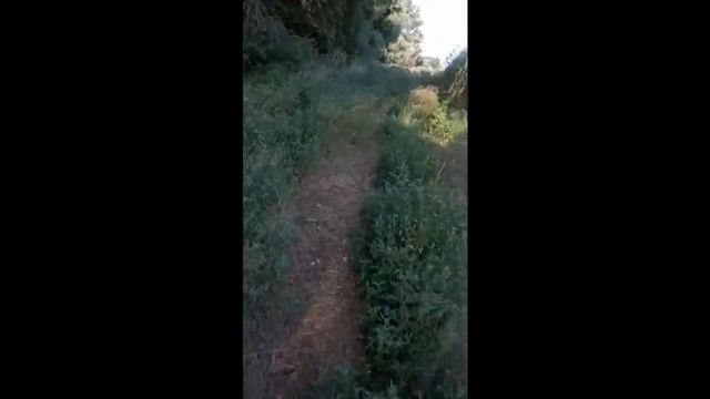 Мото путешествие смотреть онлайн
