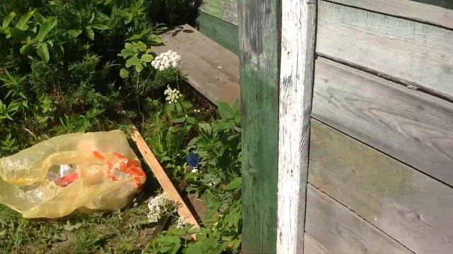 Это я тут на даче, но это видео должно накопить 👍150 лайков. смотреть онлайн