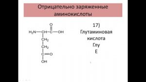 1. Структура и свойства аминокислот