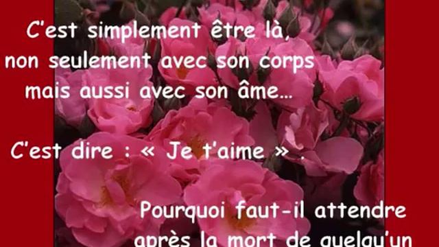 Voie bébé chez stella-celestin-en-hollande-le-03/11/2018(2) смотреть онлайн
