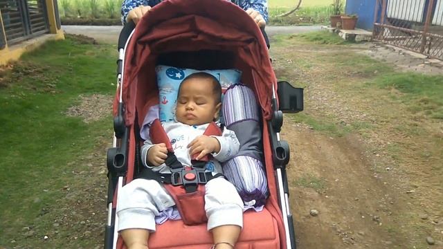 Stroller Defan смотреть онлайн