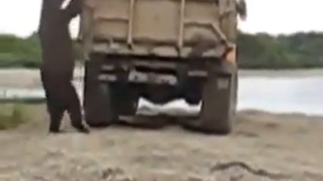 Голодный медведь смотреть онлайн