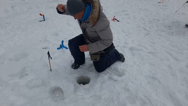 25 января 2024 г.(4) смотреть онлайн