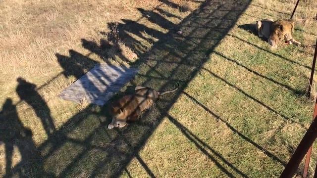 Олег Зубков: пойдет ли Москва навстречу смотреть онлайн