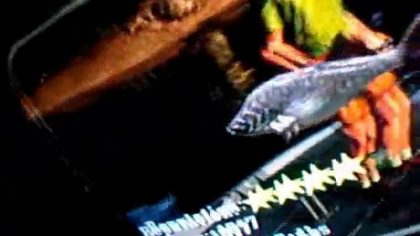 rapala fishing frenzy. xbox 360