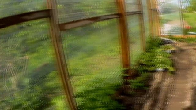 МЕГА БЮДЖЕТНАЯ ТЕПЛИЦА. Кроем теплицу стрейч-пленкой | DIY Greenhouse