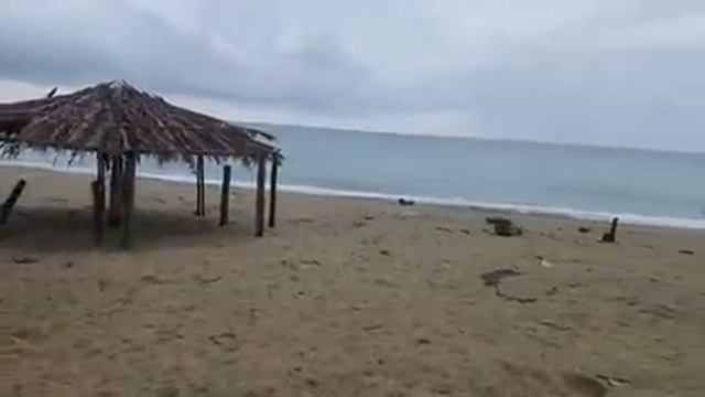 #Пицунда - ПОД ДОЖДЁМ - НО С КОФЕ - Купаться В МОРЕ Хочу ПЛЯЖ #ЛДЗА РЫБЗАВОД смотреть онлайн