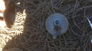 ПРОСТОЕ РЕШЕНИЕ ЧТОБЫ ПРИСОСКА ДЕРЖАЛАСЬ НА СТЕКЛЕ