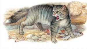 Борис Житков «Беспризорная кошка»