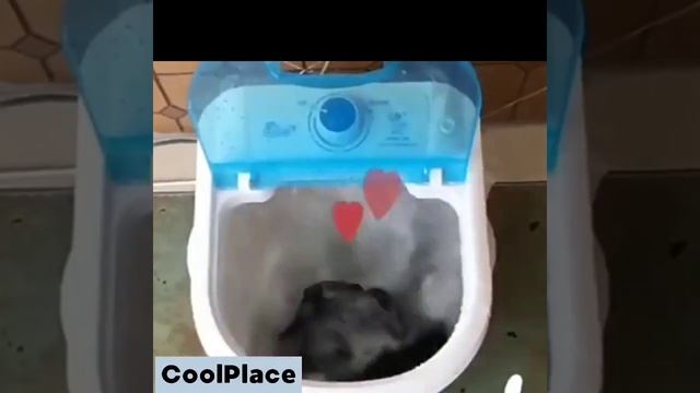 Мини стиральная машина. смотреть онлайн