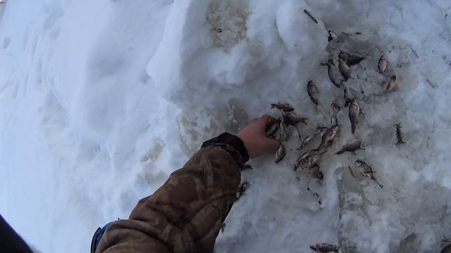 Февральский замор карася смотреть онлайн