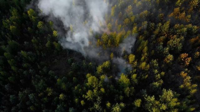 Пожар в Сертолово. Недалеко от ЖК Новое Сертолово и Сертолово-2 смотреть онлайн