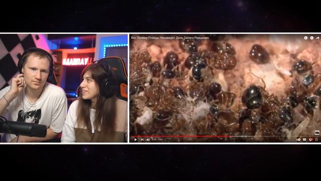 Вот Почему Птенцы Ненавидят День Своего Рождения | РЕАКЦИЯ на WATOP смотреть онлайн