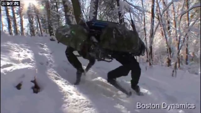 Истории роботов из Boston Dynamics: Смотрите, это грибы? (много мата) смотреть онлайн
