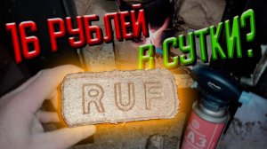 Это топливо горит 16 часов, дрова больше не нужны || RUF #57