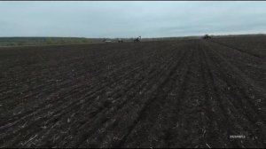 Сев озимой пшеницы по пару 2022 г, сорт "Алексеич"