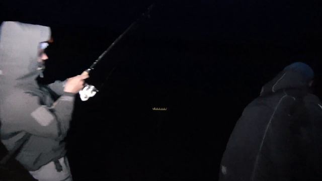 РЫБАЛКА с НОЧЁВКОЙ на Ветлуге. Густера, лещ, язь на ФИДЕР. смотреть онлайн