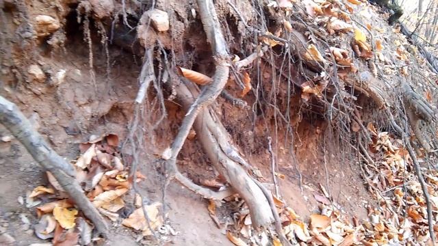 Осень в Крыму 2019, часть I смотреть онлайн