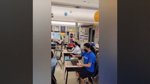 Royal Palm 🌴 Elementary смотреть онлайн