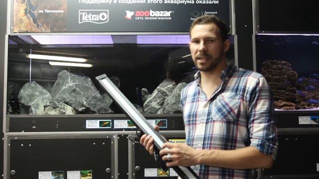 АКВАРИУМ ДЛЯ ЦИХЛИД ОЗЕРА ТАНГАНЬИКА - ТРОФЕУСОВ РЕД МОЛИРО смотреть онлайн