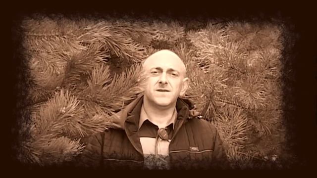Любимые мои. смотреть онлайн