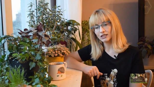 Что и как посадить на балконе 2020 ? Часть первая. смотреть онлайн