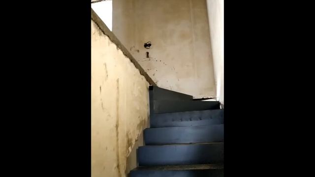 дуплекс новосадовый смотреть онлайн