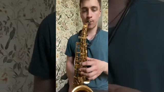 Mouthpiece Vandoren. Jumbo Java A55 смотреть онлайн