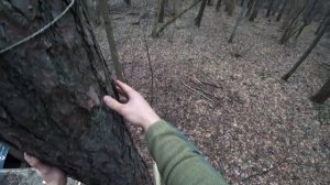 Живу один в доме под землей в Чернобыле. Готовлюсь строить домик на дереве. Выживание в лесу