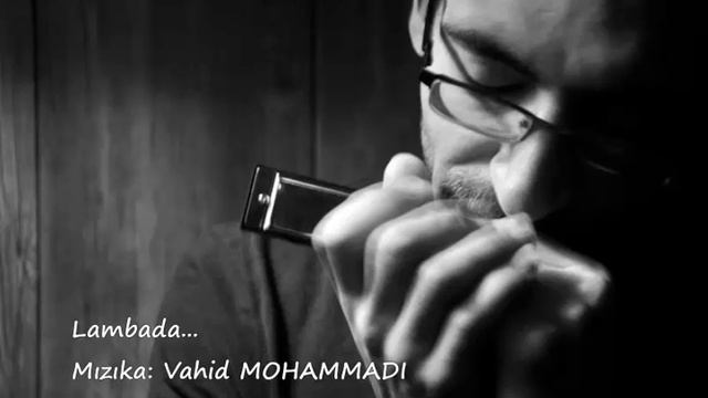 Kaoma - Lambada / Mızıka (Harmonica) - Vahid MOHAMMADI смотреть онлайн