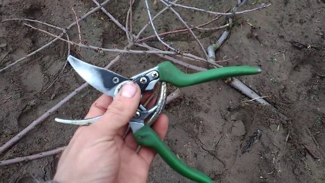 КАК ВЫБРАТЬ СЕКАТОР САДОВЫЙ? ВАЖНЫЕ СОВЕТЫ! смотреть онлайн