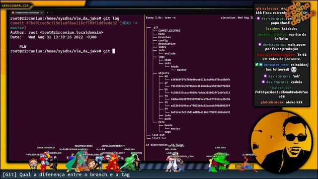 [Git] Qual a diferença entre o branch e a tag смотреть онлайн
