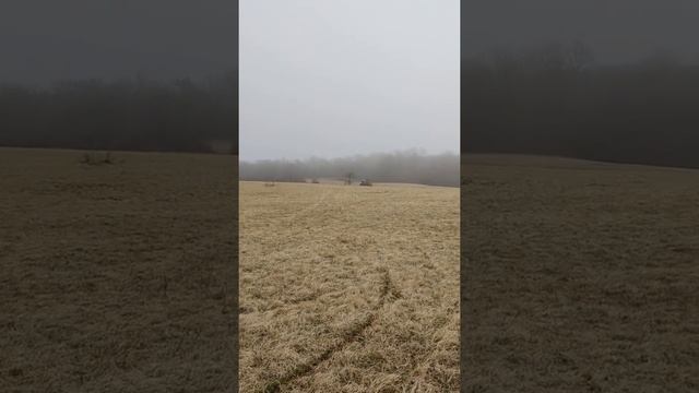 Sur Ron swingarm extender V2. test смотреть онлайн