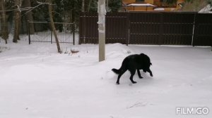 УПАЛА ТАК, ДУМАЛА НЕ ВСТАНУ.?