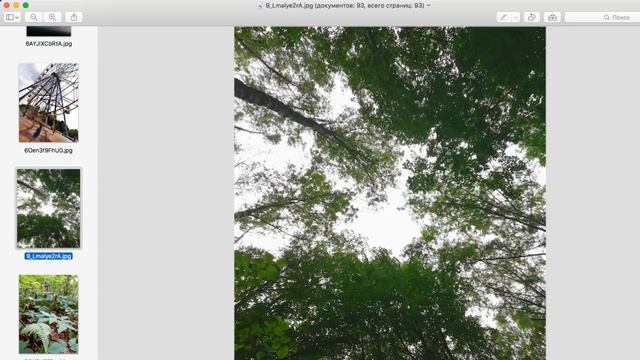 Прямая трансляция пользователя Фотошкола Просто смотреть онлайн