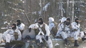 Эмблемы нашей части- белые медведи.морская пехота.