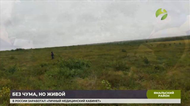 В Ямальском районе найден хозяин сгоревшего чума смотреть онлайн