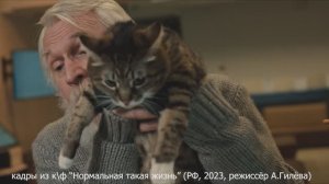 Сцена из короткометражного фильма «Нормальная такая жизнь» (РФ, 2023, режиссёр Антонина Гилёва)