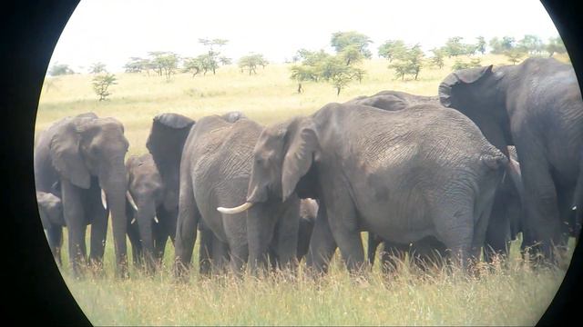 Tanzania Zanzibar 2023 смотреть онлайн