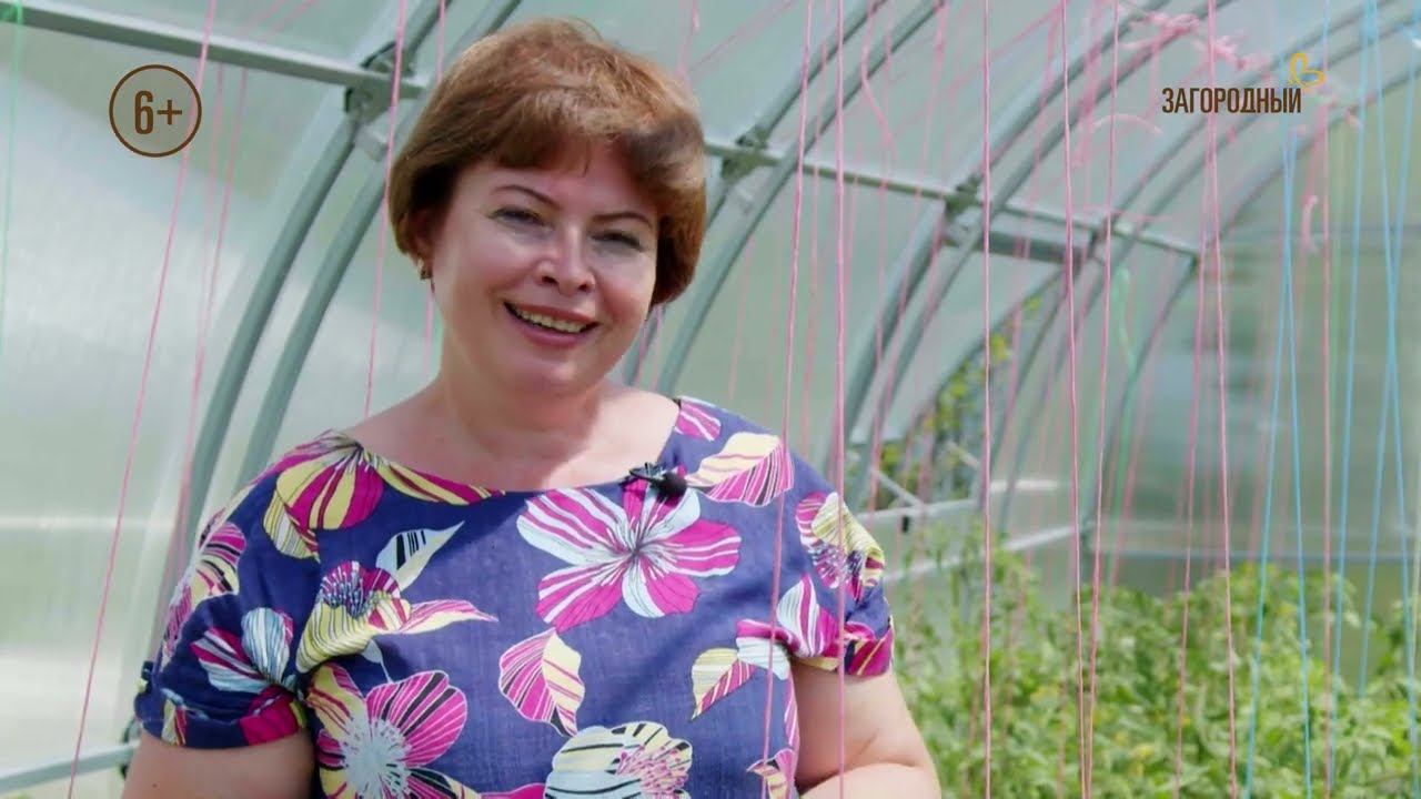 Тепличные истории / Выпуск 3 смотреть онлайн
