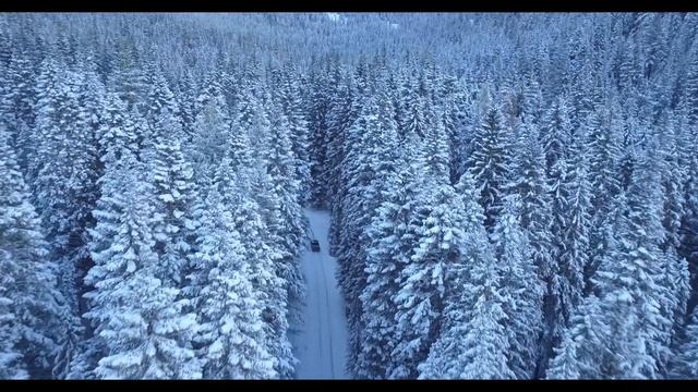 ПРАКТИКА Прощение любимого человека смотреть онлайн