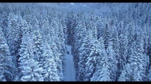 ПРАКТИКА Прощение любимого человека