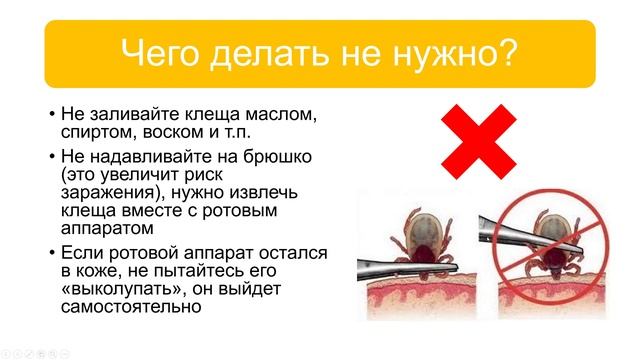 Счастливая беременность